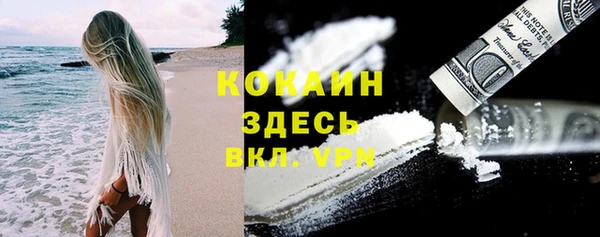 прущие крисы Абаза