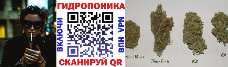 Марихуана OG Kush  купить закладку  Суздаль 